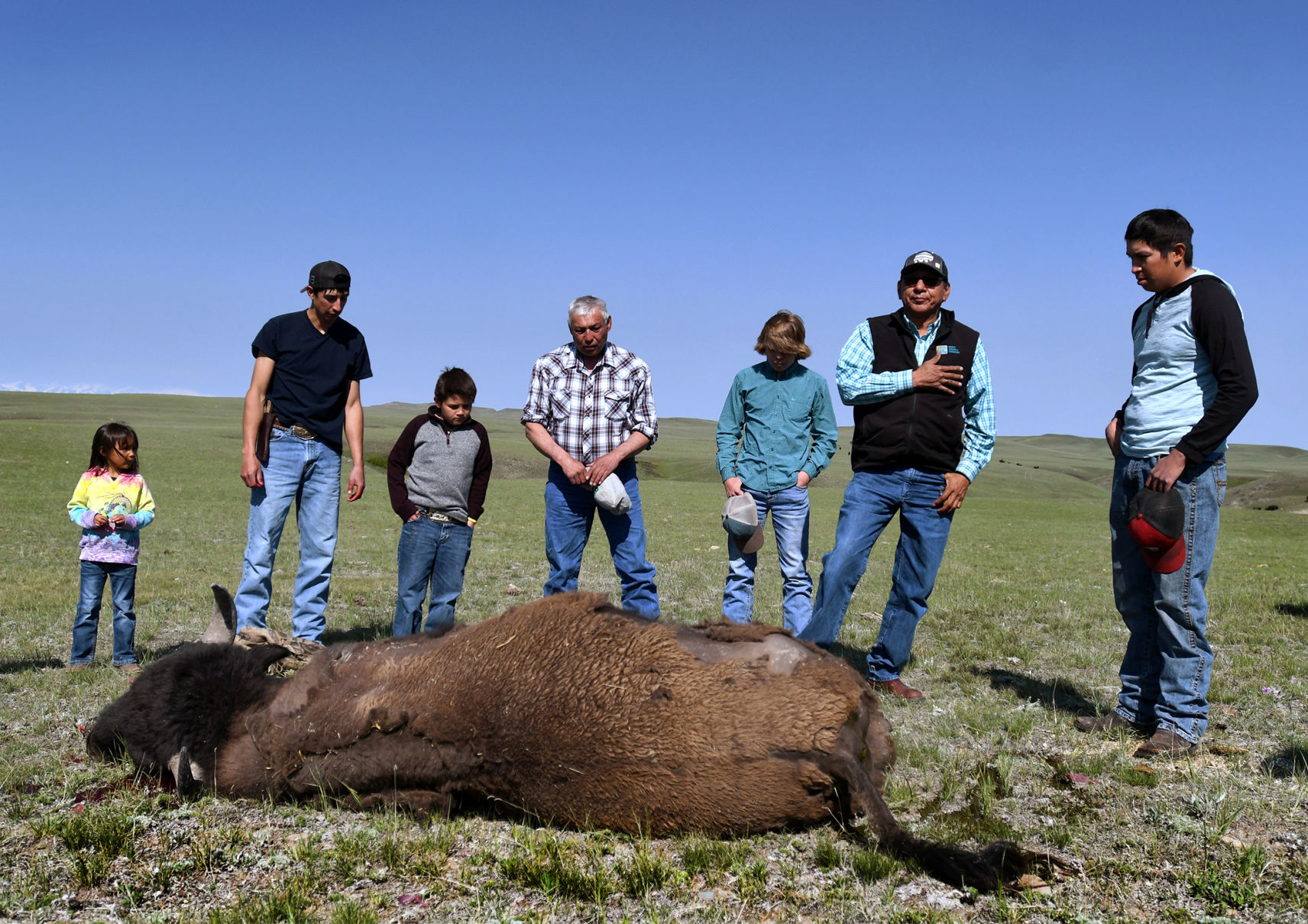 061619 blackfeet buffalo1 kw.jpg